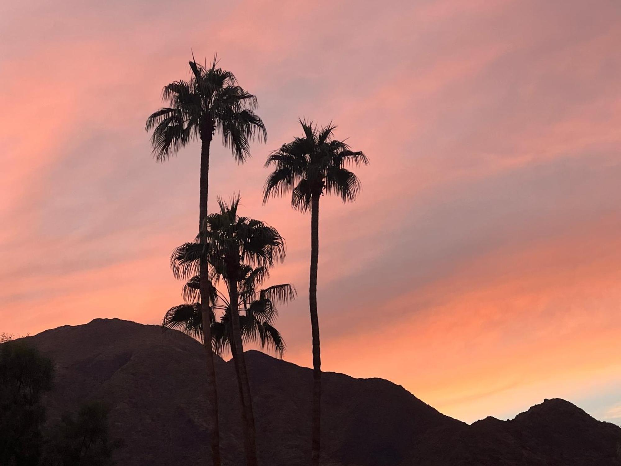 Greenhouse East Palm Springs Jewel Buitenkant foto